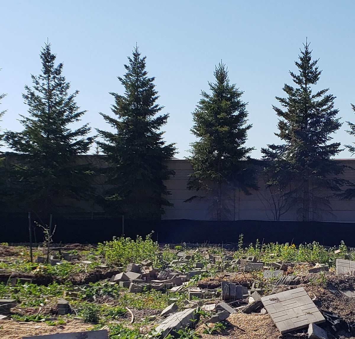 Everhome Markham Construction